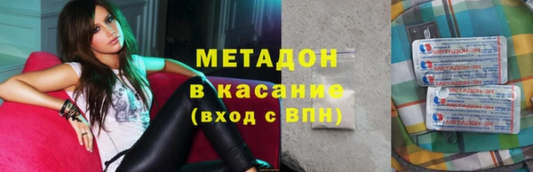 прущие грибы Горно-Алтайск