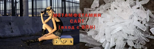прущие грибы Горно-Алтайск