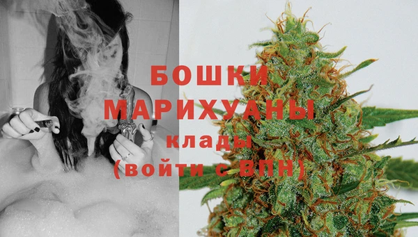 бутират Гусь-Хрустальный