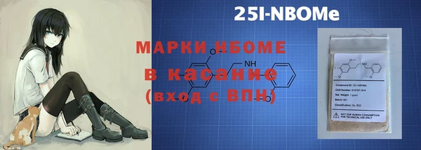 прущие грибы Горно-Алтайск