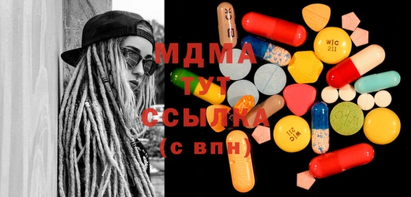 прущие грибы Горно-Алтайск