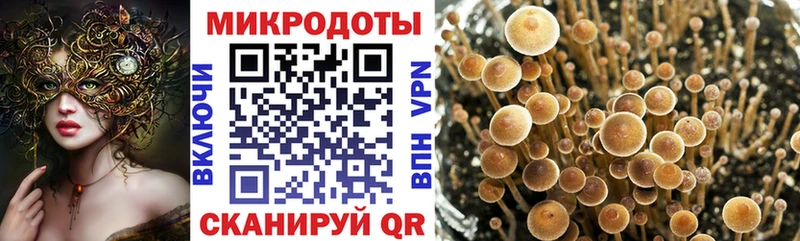 Галлюциногенные грибы GOLDEN TEACHER  Купить закладки  Красноперекопск 